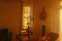 maxhartmann.photo